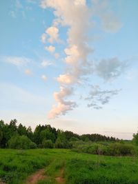 Scenic view of field against sky