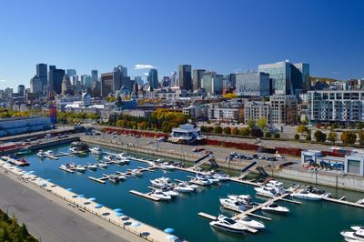 Aerial view of boats moored in harbor