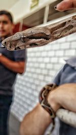 Cropped image of person holding snake