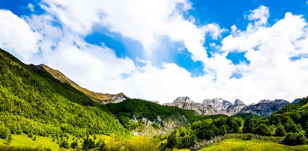 Panoramic view of trees and mountains against sky