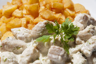 Close-up of meal served in plate