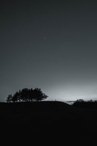 Silhouette trees on field against clear sky at night