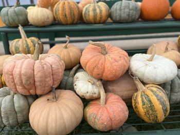 Full frame shot of pumpkins for sale