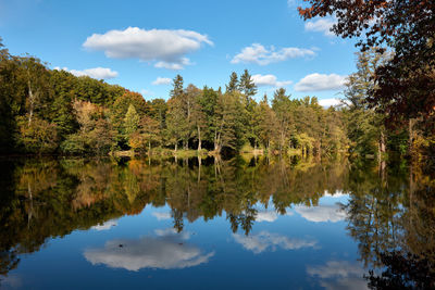 Reflection of trees in lake against sky