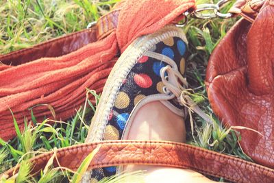 Colorfull lifestyle. traditional shoes. picnic. girl accessories. 