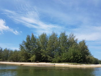 Trees by calm lake against blue sky