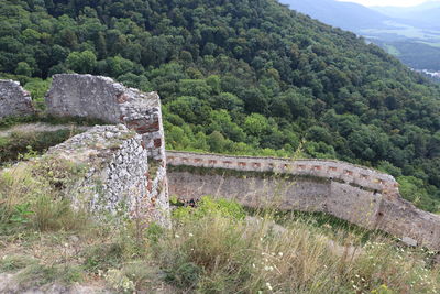 Stone wall by trees on mountain