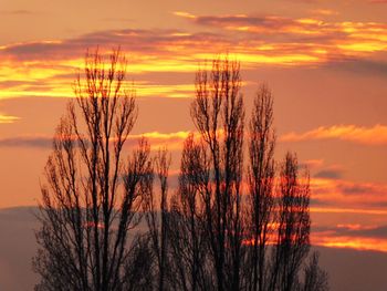 Silhouette bare trees against dramatic sky during sunset