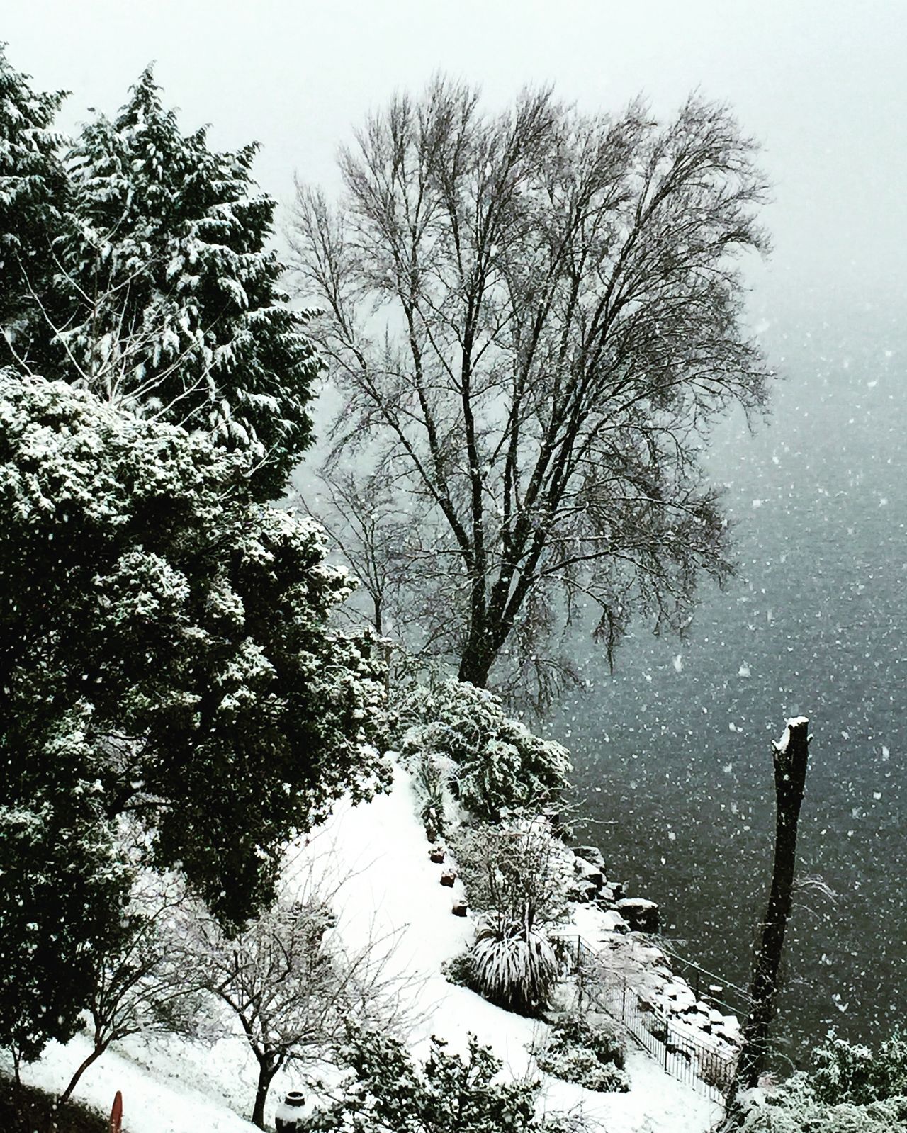 Snow on the lake