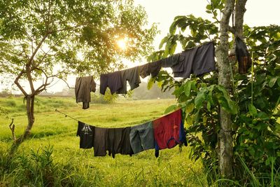 Clothes line in the village in the morning