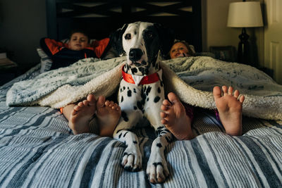 Low section of people relaxing on bed at home with dog.