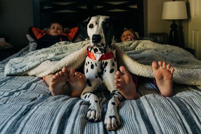 Low section of people relaxing on bed at home