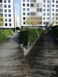 Footpath amidst buildings in city