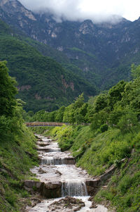 Scenic view of stream amidst trees and mountains