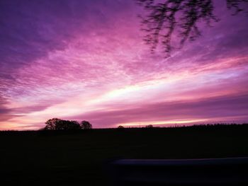 Silhouette trees on field against sky at sunset