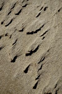 High angle view of footprints on sand