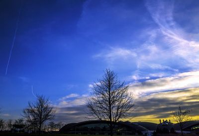Bare trees against cloudy sky at sunset