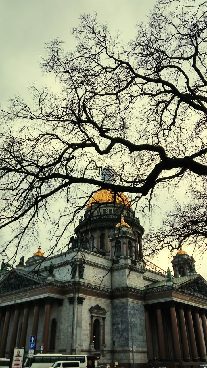 LOW ANGLE VIEW OF BUILDING AGAINST BARE TREE