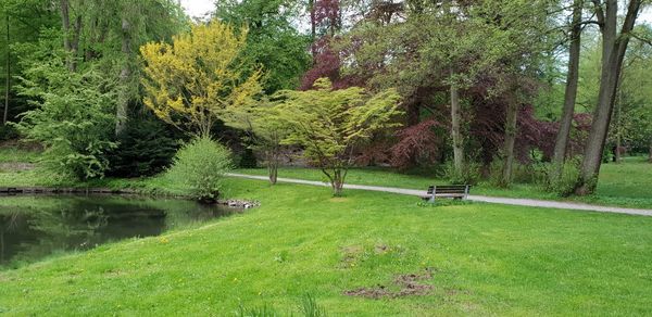 Scenic view of lake amidst trees in park