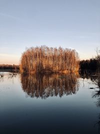 Scenic view of lake by trees against sky