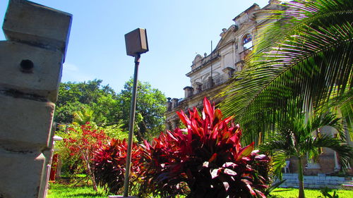 Low angle view of building against clear sky