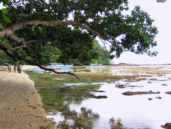 Scenic view of lake