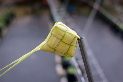 Close-up of yellow umbrella against blurred background