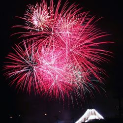 Low angle view of firework display at night