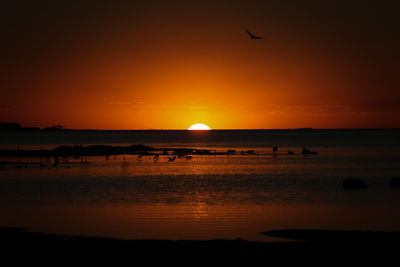 Scenic view of sea at sunset