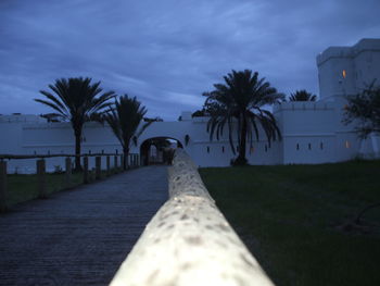 Palm trees against cloudy sky