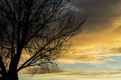 Low angle view of silhouette tree against sky at sunset