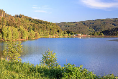 Scenic view of lake by trees against sky