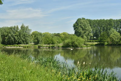 Scenic view of lake by trees against sky