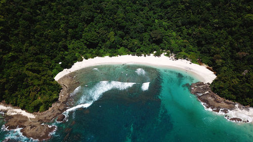 High angle view of trees at beach