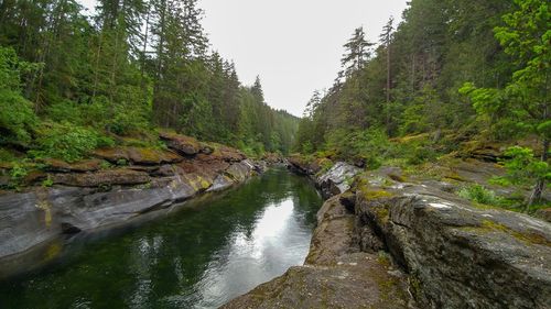 Stream flowing through rocks in forest