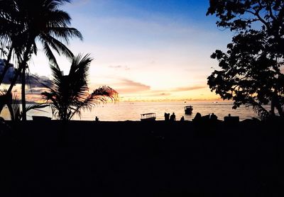 Silhouette palm trees at sunset