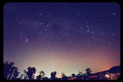 Low angle view of trees against sky at night