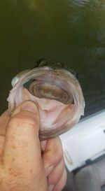 Close-up of man holding ice cream