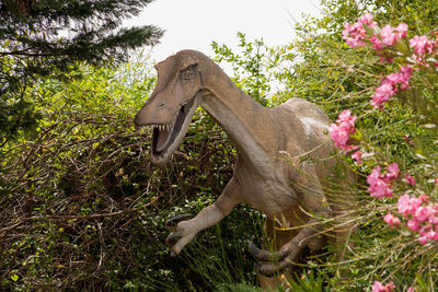 View of an animal statue on plants