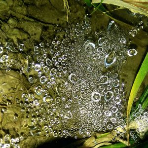 Full frame shot of wet bubbles