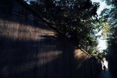 Man on tree against sky