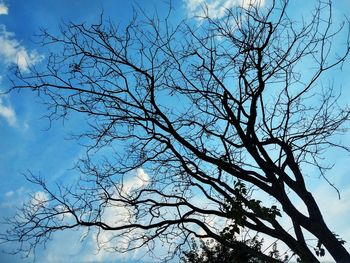 Low angle view of silhouette bare tree against sky