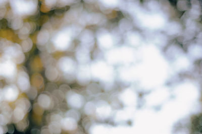 Defocused image of tree against sky