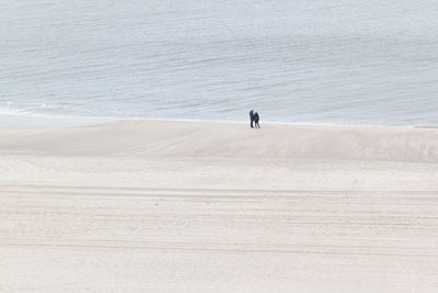 Man on beach against sea