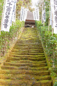 Staircase leading towards temple outside building