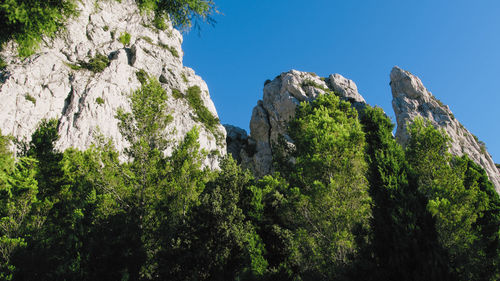 Rocky ridge in the middle of the trees