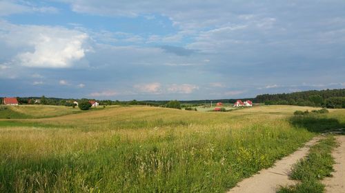 Scenic view of field against sky