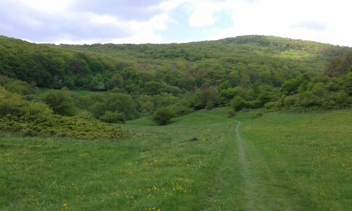 Scenic view of green landscape against sky