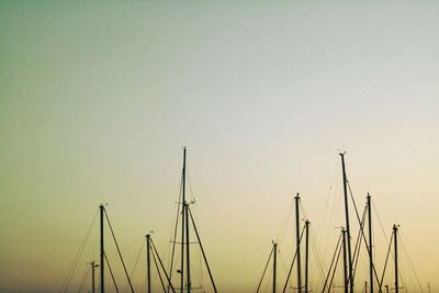 Silhouette of trees at sunset