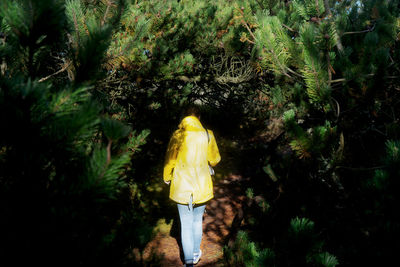 Rear view of person standing in forest